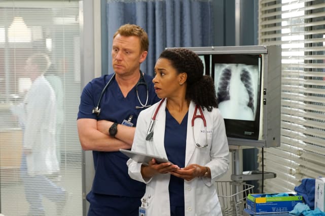 Trauma and Cario Team - Grey's Anatomy Season 15 Episode 23
