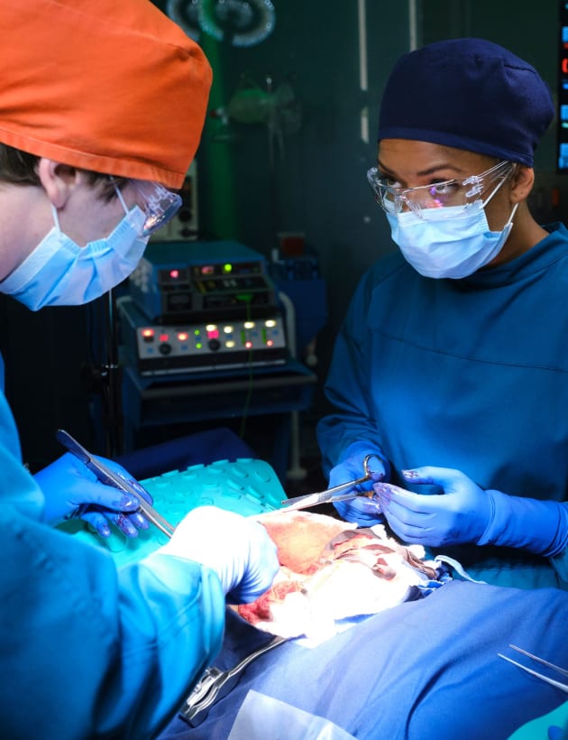 The good doctor season shop 3 episode 6 full episode