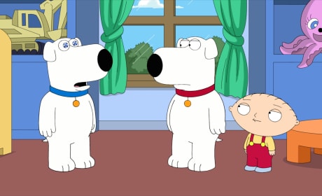Family guy season 17 new arrivals episode 12 bri robot