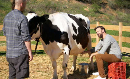 The Last Man on Earth Season 2 Episode 17 Review: Smart and Stupid