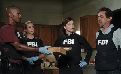 Criminal Minds Season 8 Report Card: B