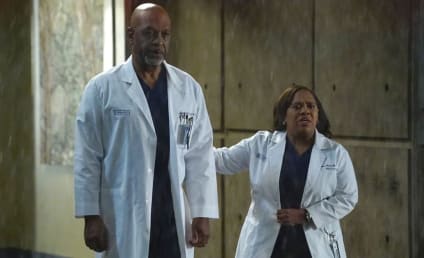 Grey's Anatomy Season 13 Episode 9 Review: You Haven't Done Nothin'