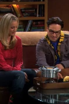 The Big Bang Theory Season 3 Episode 15
