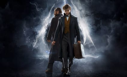 Harry Potter the TV Series: Is It Time to Make the Leap?