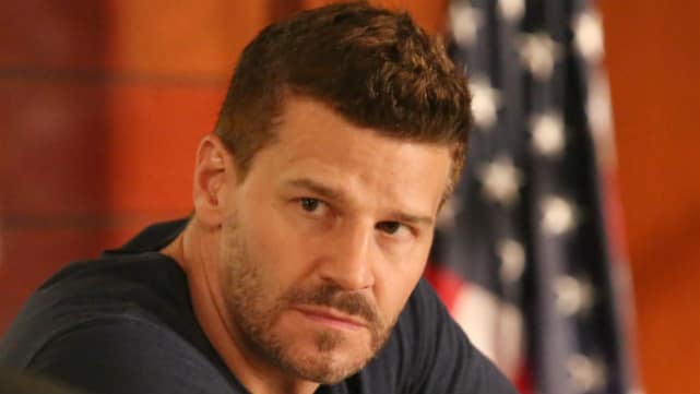 Seely Booth - Bones