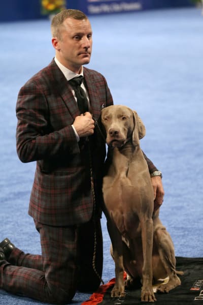 National Dog Show