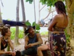 Playing It Cool - Survivor
