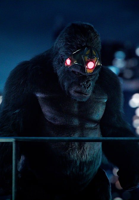 Gorilla Grodd Ready For A Fight - The Flash Season 5 Episode 15