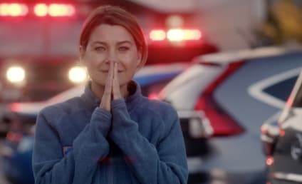 Grey's Anatomy Season 13: Best Relationship, Worst Episode & More!