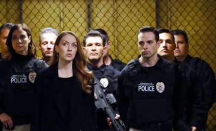 The Blacklist Season 6 Episode 21 Review: Anna McMahon