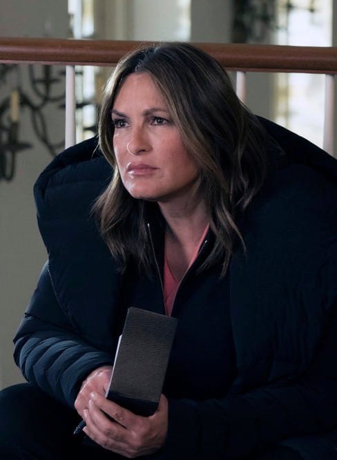 Benson Wonders - Law & Order: SVU Season 20 Episode 19