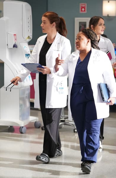 Training Day Leaders -tall  - Grey's Anatomy Season 19 Episode 11