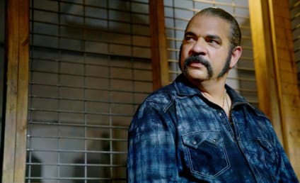 Queen of the south season 4 free online hotsell