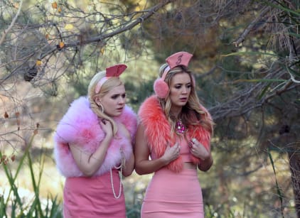 Scream queens watch 2025 online