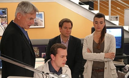 NCIS Spinoff Confirmed, To Be Set in New Orleans