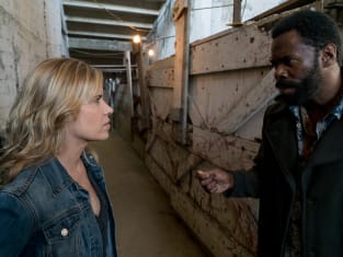 The walking dead season 3 episode 14 watch online store
