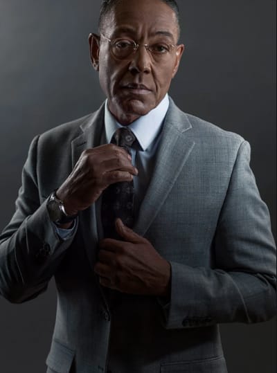 Gustavo Fring, Breaking Bad