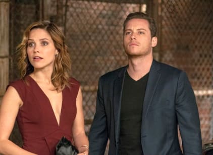 Chicago PD Season 2 Episode 8 TV Fanatic