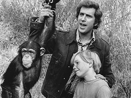 Me and the Chimp - 1972