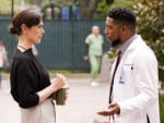 Dr. Fuentes Vision - New Amsterdam