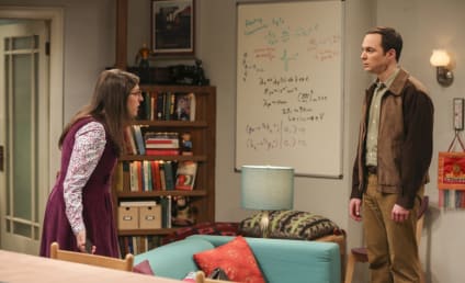 Watch The Big Bang Theory Online: Season 10 Episode 16