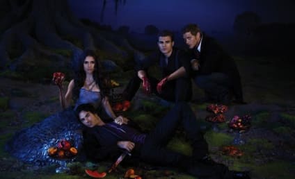 The Vampire Diaries Poster: Teasing Delena?