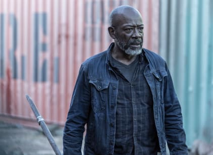 The walking dead season hot sale 6 online