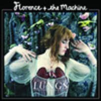 Howl Lyrics And Music Video Florence The Machine Tv Fanatic Read lyrics to howl download lyrics in pdf file song by florence + the machine. howl lyrics and music video florence