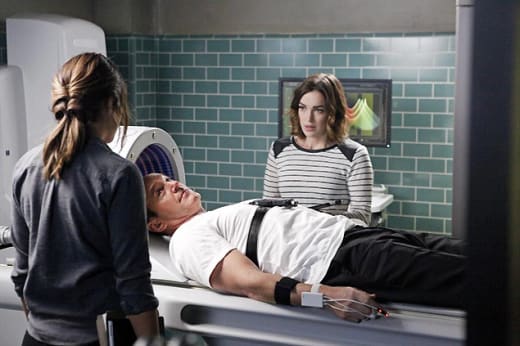 Agents of S.H.I.E.L.D. Season 2 Report Card Grade It TV Fanatic