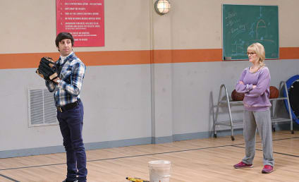 The Big Bang Theory Season 8 Episode 3 Review: The First Pitch Insufficiency