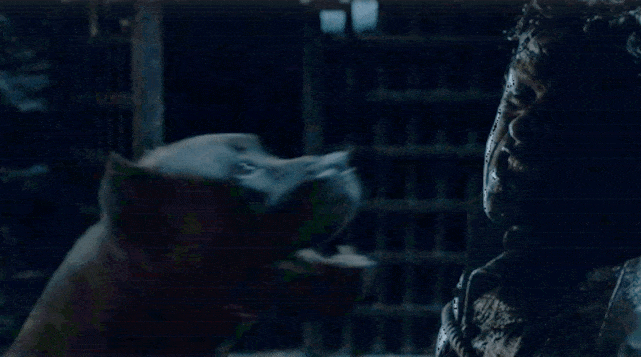 Good Doggie - Game of Thrones