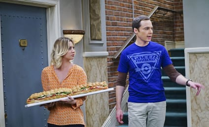 The Big Bang Theory Season 9 Episode 21 Review: The Viewing Party Combustion