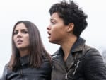 Hart Island - Eye Candy