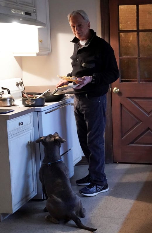 Preparing a Meal - NCIS Season 18 Episode 14