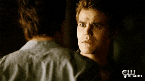 stefan and damon series finale
