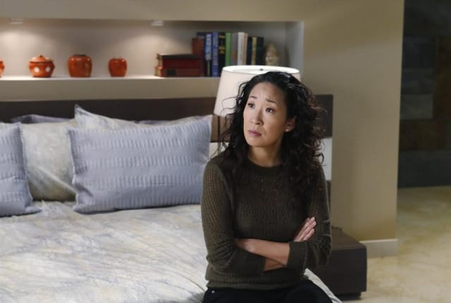 Watch grey's anatomy season 17 putlocker top