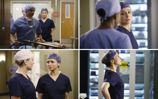Grey s Anatomy Season 11 Episode 14 Review The Distance TV Fanatic