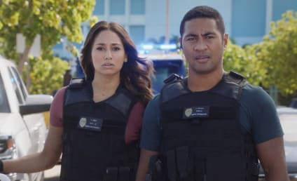 Watch Hawaii Five-0 Online: Season 8 Episode 13