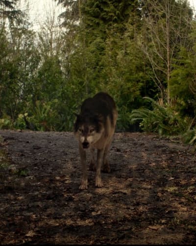 Zoo3x7-2