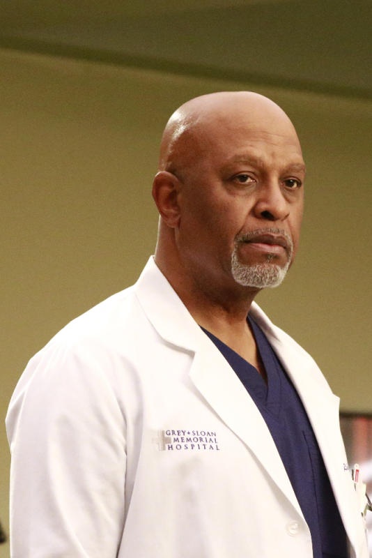 Team Richard - Grey's Anatomy Season 13 Episode 21