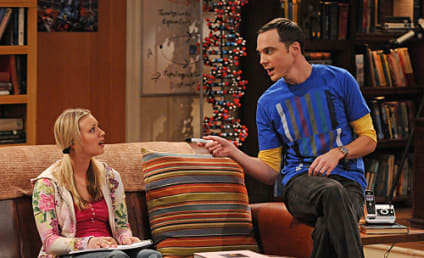 The Big Bang Theory Episode Stills: "The Gorilla Experiment"