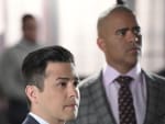 The Deal - Bull