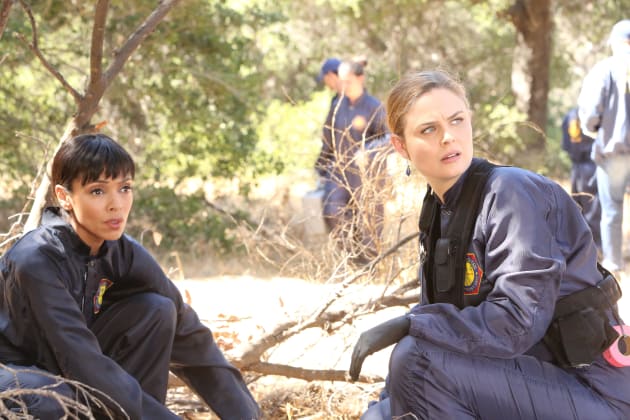 Brennan and Cam Examine Remains Found on the Side of a Road - Bones Season 10 Episode 6
