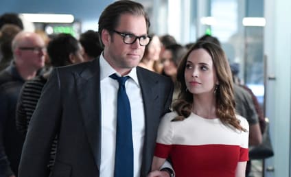 CBS Boss Defends Bull Renewal After Michael Weatherly Accusations: 'People Continued to Watch'