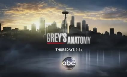 Grey's Anatomy Sneak Peeks: "Dark Was the Night"