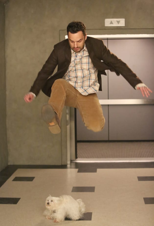 Taking a Leap - New Girl
