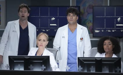 Grey's Anatomy Season 20 Cast: Who's In? Who's Out?
