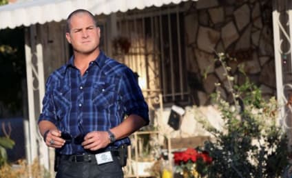 George Eads to Miss Multiple CSI Episodes After Clash with Writer