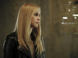 The originals sale season 4 online