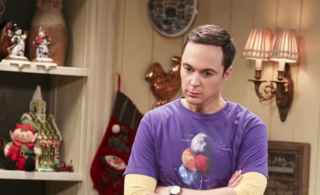 Watch the big bang sales theory season 12 episode 17